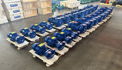 2BV Vacuum Pump